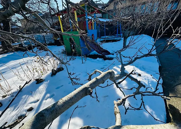 даутев връх *